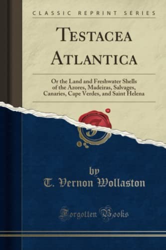 Cover of Testacea Atlantica